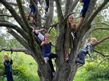 Børn i træ